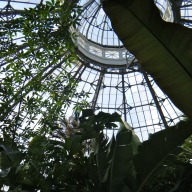 Conservatory dome